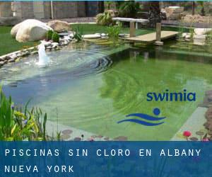 Piscinas sin cloro en Albany (Nueva York)