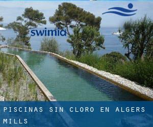 Piscinas sin cloro en Algers Mills