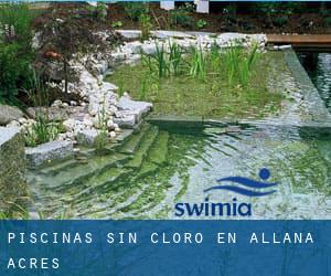 Piscinas sin cloro en Allana Acres