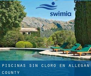 Piscinas sin cloro en Allegan County