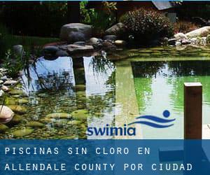 Piscinas sin cloro en Allendale County por Ciudad - página 1