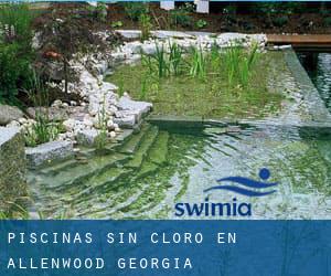 Piscinas sin cloro en Allenwood (Georgia)