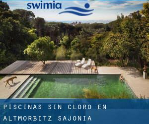 Piscinas sin cloro en Altmörbitz (Sajonia)