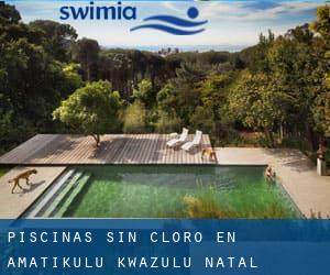 Piscinas sin cloro en aMatikulu (KwaZulu-Natal)