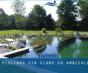 Piscinas sin cloro en Ambierle