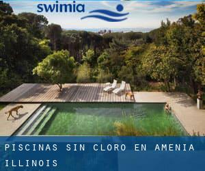 Piscinas sin cloro en Amenia (Illinois)