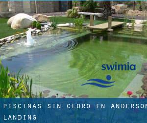 Piscinas sin cloro en Anderson Landing