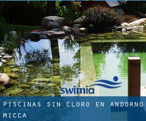 Piscinas sin cloro en Andorno Micca