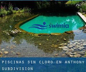 Piscinas sin cloro en Anthony Subdivision