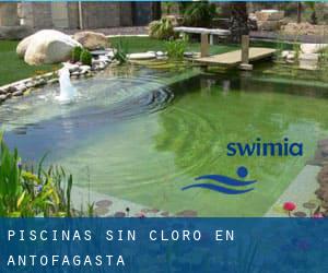 Piscinas sin cloro en Antofagasta