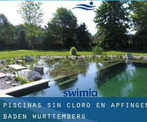 Piscinas sin cloro en Äpfingen (Baden-Württemberg)