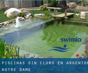 Piscinas sin cloro en Argenton-Notre-Dame