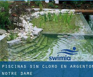 Piscinas sin cloro en Argenton-Notre-Dame