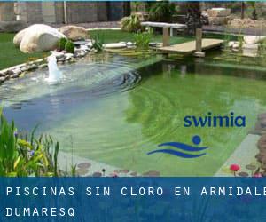 Piscinas sin cloro en Armidale Dumaresq