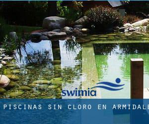 Piscinas sin cloro en Armidale