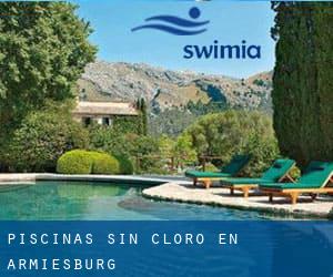 Piscinas sin cloro en Armiesburg