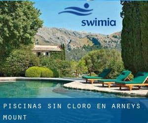 Piscinas sin cloro en Arneys Mount