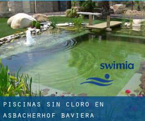 Piscinas sin cloro en Asbacherhof (Baviera)