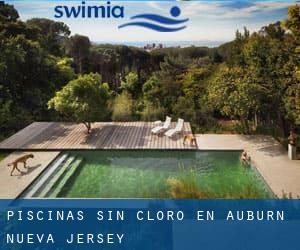 Piscinas sin cloro en Auburn (Nueva Jersey)