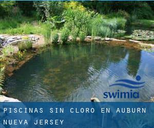 Piscinas sin cloro en Auburn (Nueva Jersey)