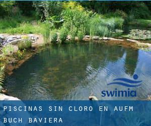 Piscinas sin cloro en Auf'm Buch (Baviera)