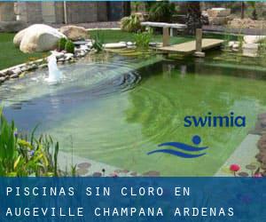 Piscinas sin cloro en Augeville (Champaña-Ardenas)