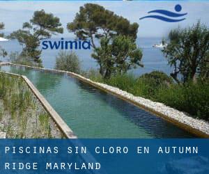 Piscinas sin cloro en Autumn Ridge (Maryland)