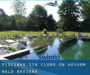 Piscinas sin cloro en Auvorm Wald (Baviera)