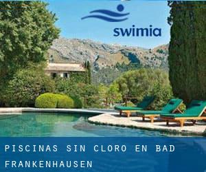 Piscinas sin cloro en Bad Frankenhausen