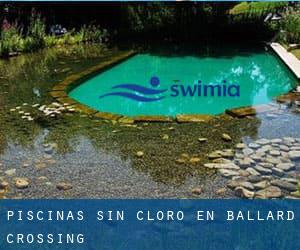 Piscinas sin cloro en Ballard Crossing