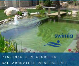 Piscinas sin cloro en Ballardsville (Mississippi)