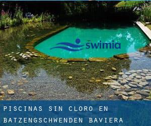 Piscinas sin cloro en Batzengschwenden (Baviera)