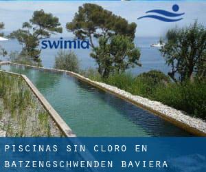 Piscinas sin cloro en Batzengschwenden (Baviera)