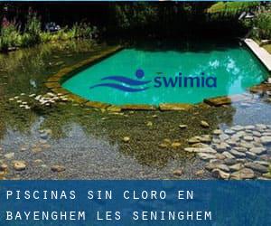 Piscinas sin cloro en Bayenghem-lès-Seninghem