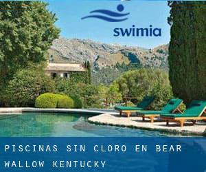 Piscinas sin cloro en Bear Wallow (Kentucky)