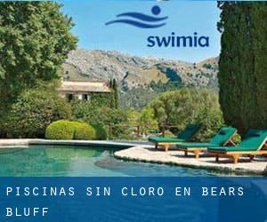 Piscinas sin cloro en Bears Bluff