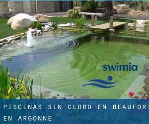 Piscinas sin cloro en Beaufort-en-Argonne