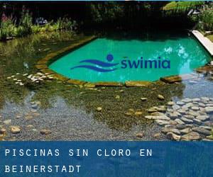 Piscinas sin cloro en Beinerstadt