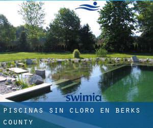 Piscinas sin cloro en Berks County