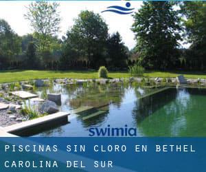 Piscinas sin cloro en Bethel (Carolina del Sur)