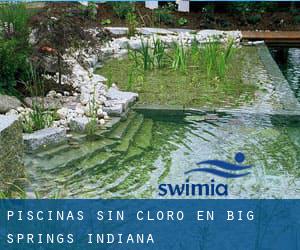 Piscinas sin cloro en Big Springs (Indiana)