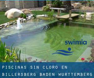 Piscinas sin cloro en Billersberg (Baden-Württemberg)