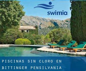 Piscinas sin cloro en Bittinger (Pensilvania)