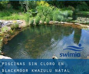 Piscinas sin cloro en Blackmoor (KwaZulu-Natal)