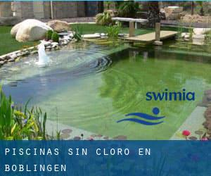 Piscinas sin cloro en Böblingen