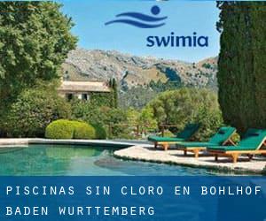 Piscinas sin cloro en Bohlhof (Baden-Württemberg)