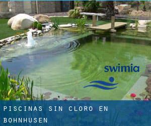 Piscinas sin cloro en Böhnhusen