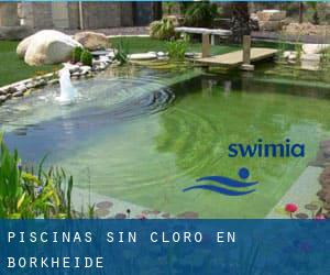 Piscinas sin cloro en Borkheide