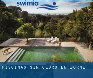 Piscinas sin cloro en Borne