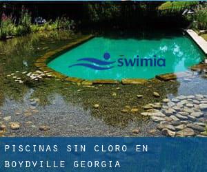 Piscinas sin cloro en Boydville (Georgia)